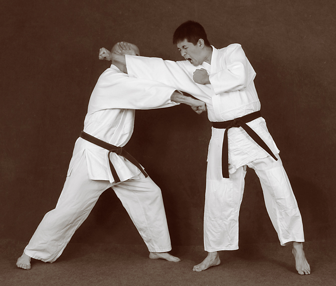 Hapkido photos of Marc Tedeschi